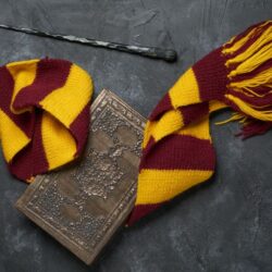 Harry Potter scarf, book and wand for blog on missing patient survey | Vanguard Communications.net | Denver, CO, Jacksonville, FL