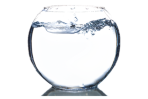 Empty fishbowl as goldfish jumped out for bigger potential with healthcare marketing & healthcare consulting | Vanguard Communications | Denver, CO | San Jose, CA | Jacksonville, FL