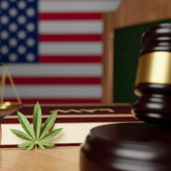 U.S. flag with marijuana leaf & judges gavel | Article on marijuana legalization | Vanguard Communications | Denver