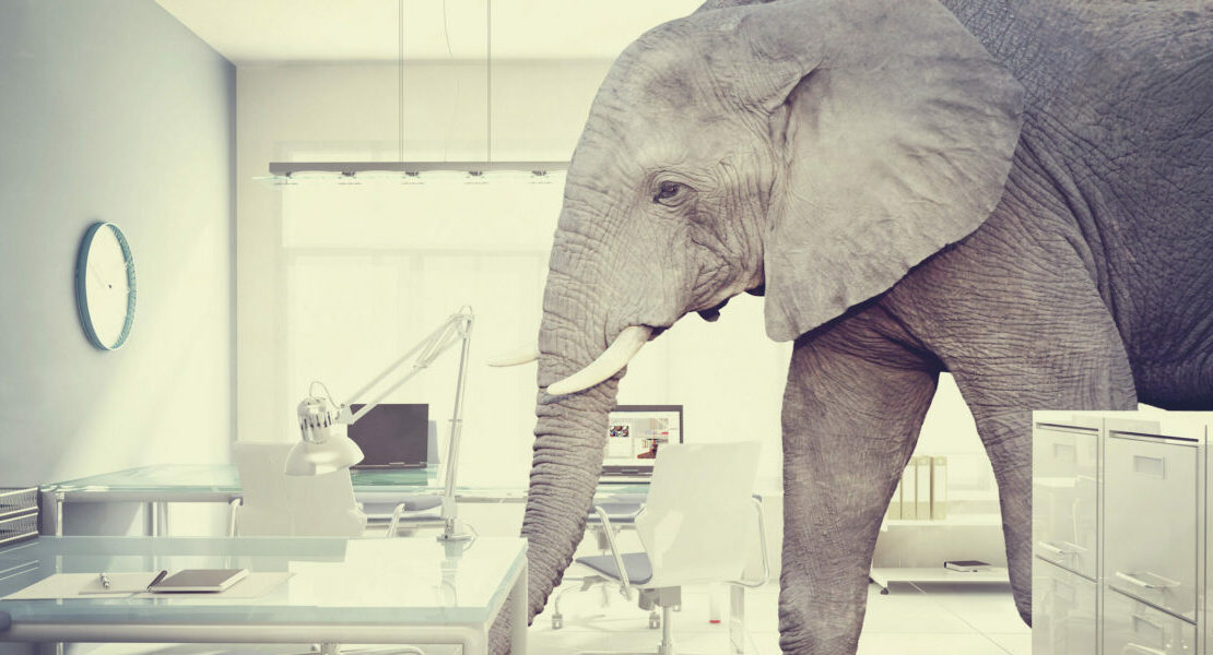 Patient conversations | Vanguard Communications | Elephant in a medial lab